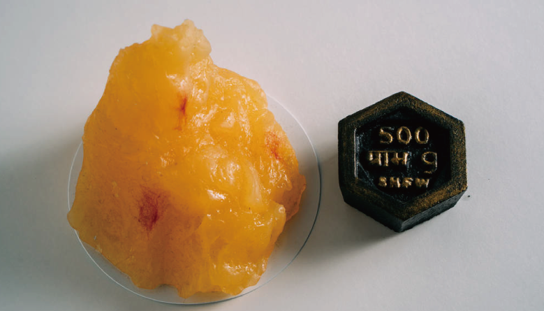 Body Composition of Model Animals