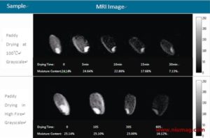 Time Domain NMR-MRI Applications in Food & Agriculture - Applications - 1