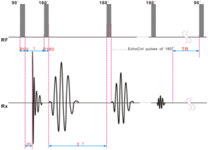 NMR Sequence—CPMG Sequence - NMR Principle - 1