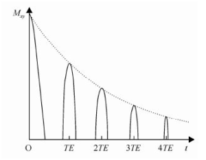 NMR Sequence—CPMG Sequence - NMR Principle - 2