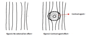 Principles and Evaluation of Contrast Agents in NMR - Applications - 1