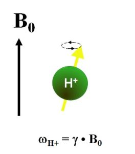 How to Find the Central Frequency of NMR Analyzer? - NMR Principle - 1