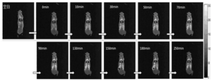 Principles and Evaluation of Contrast Agents in NMR - Applications - 3