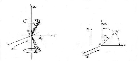 Formation of NMR Signal - NMR Principle - 3