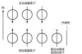 NMR Principle Picture