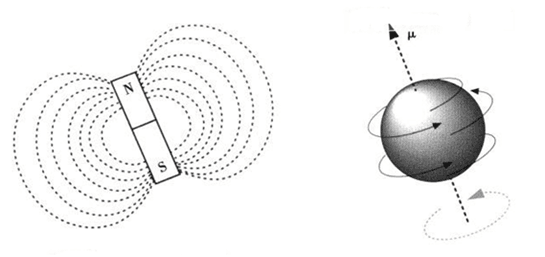 Formation of NMR Signal - NMR Principle - 1