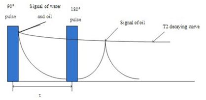 Testing Oil &Moisture content of seed by applying CPMG sequence