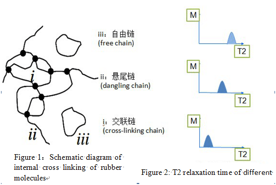 Schematic diagram of internal cross linking of rubber molecules and the T2 relaxation time