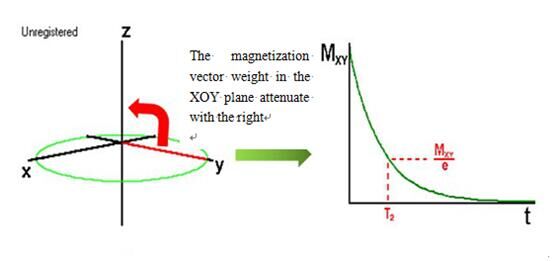 The Introduction Cross-linking Density Measurement by NMR method - Applications - 3