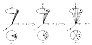 Spin-spin relaxation abridged general view