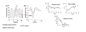 инжир 1：the changes of shrimps NMR relaxaCod quality monitoring in -10 ℃ storage process 