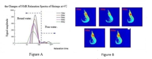 инжир 1：the changes of shrimps NMR relaxation spectra in 4℃ storage