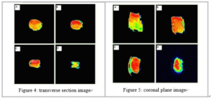 NMR Analyzer Application on Aquatic Products Quality Monitoring during Storage - Applications - 3