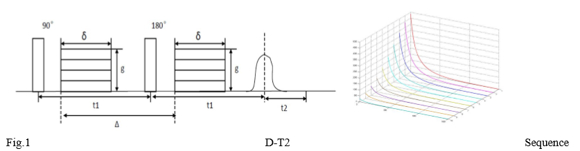 Application of 2D NMR Techniques in core analysis - Applications - 1