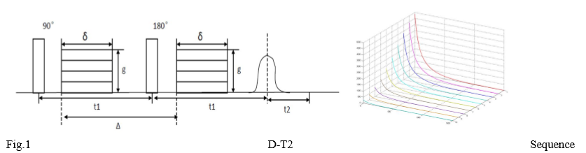 d-t2-sequence