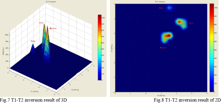 Application of 2D NMR Techniques in core analysis - Applications - 6