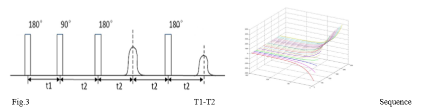 Application of 2D NMR Techniques in core analysis - Applications - 3