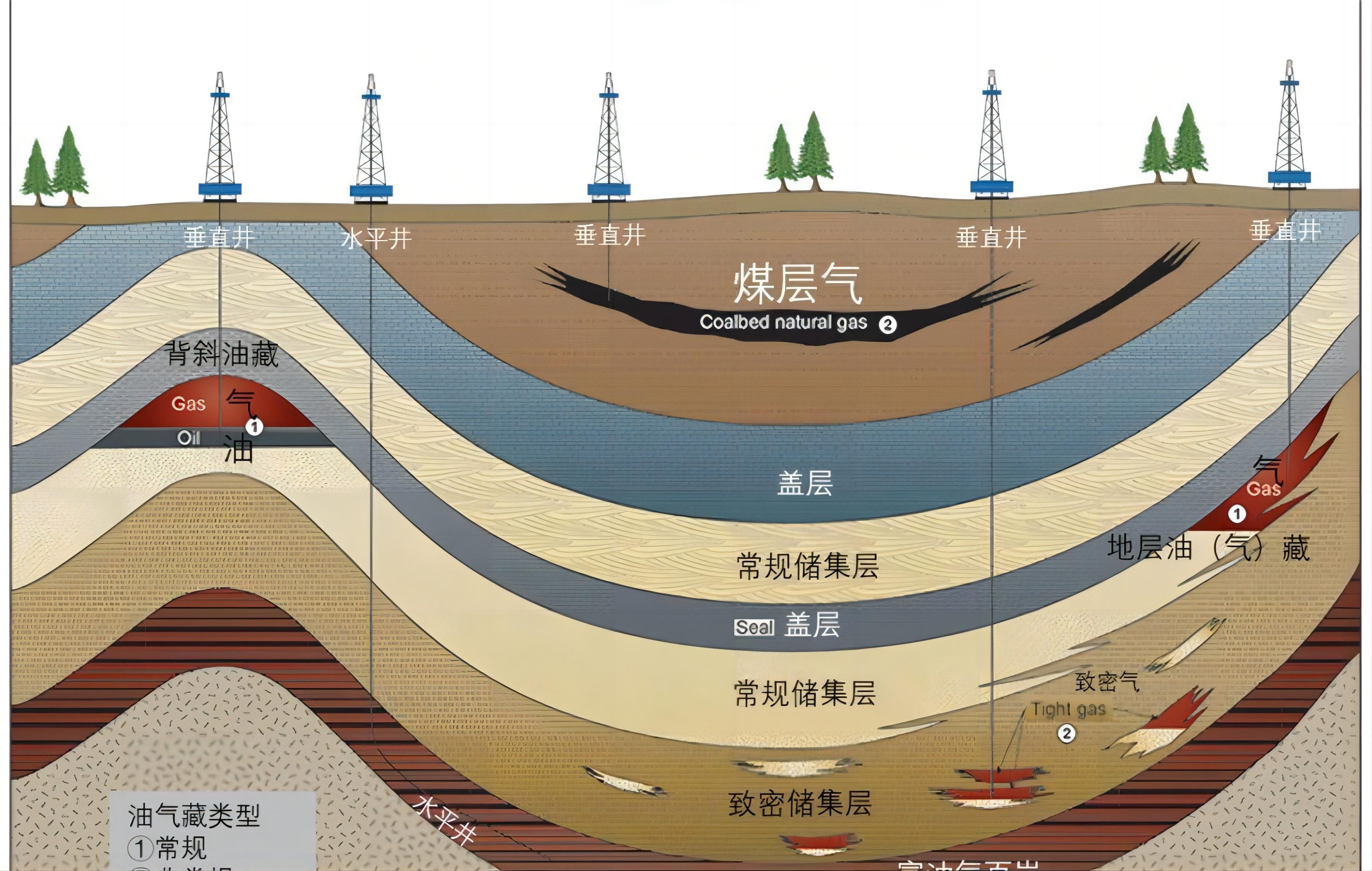 Case Study on the Application of Low-Field Nuclear Magnetic Resonance (NMR) Technology in Conventional Core Analysis