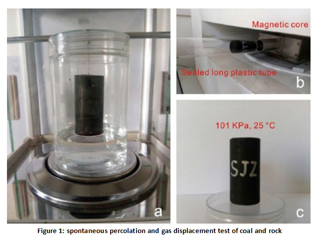 NMR reveals the dynamic self - permeability process - Blog - 3