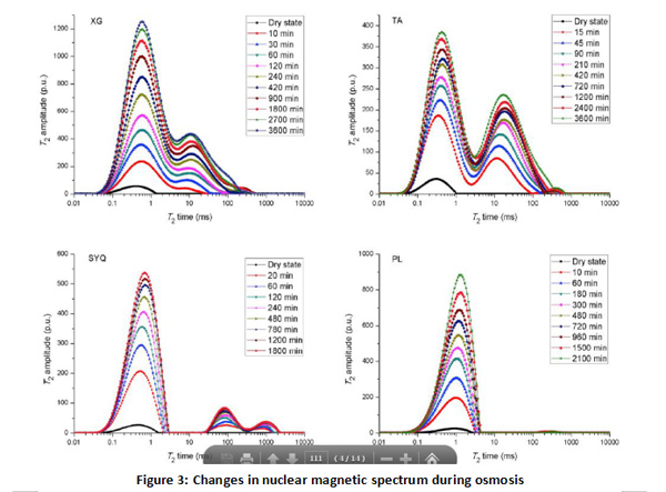 NMR reveals the dynamic self - permeability process - Blog - 5