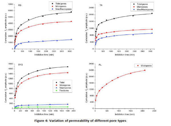 NMR reveals the dynamic self - permeability process - Blog - 6