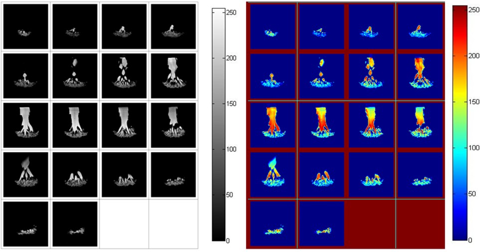 Broccoli MRI and 3D imaging