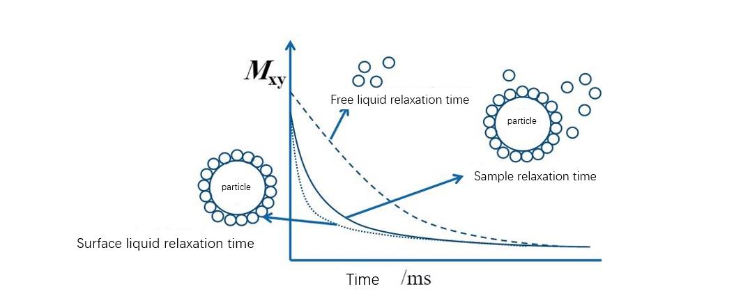 Agglomeration State of Particles Study by Low Field NMR