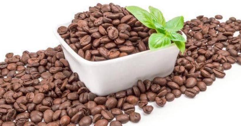 Low-field NMR applied to the measurement of oil and moisture content in coffee beans