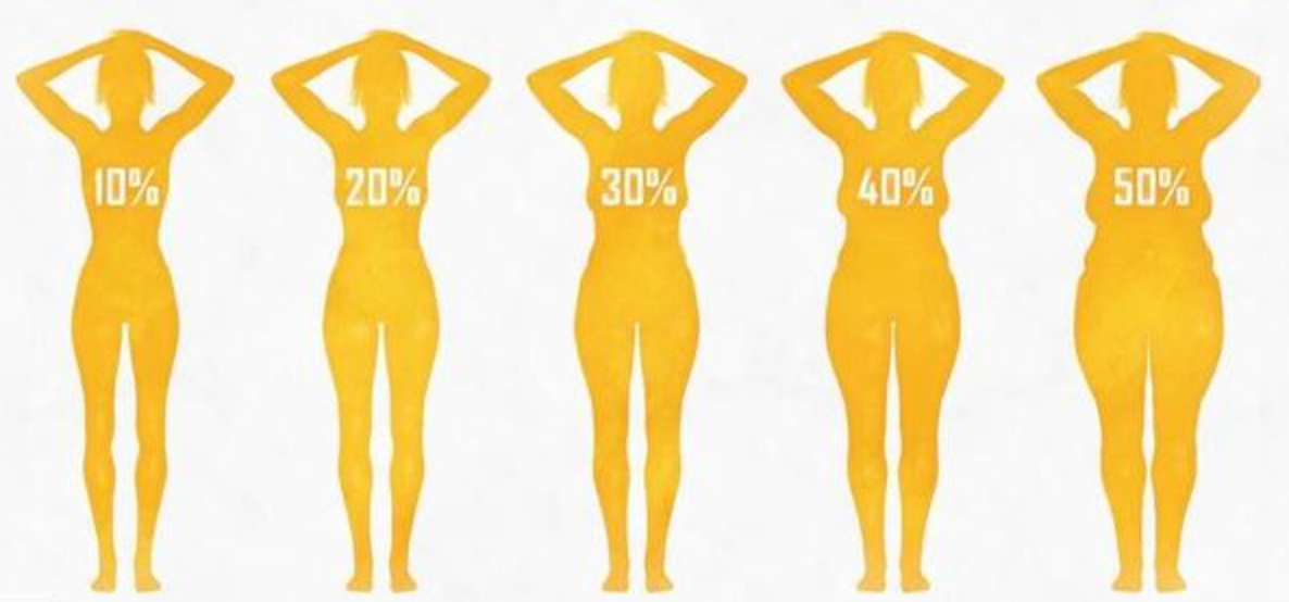 Body Fat Content Measurement by NIUMAG NMR