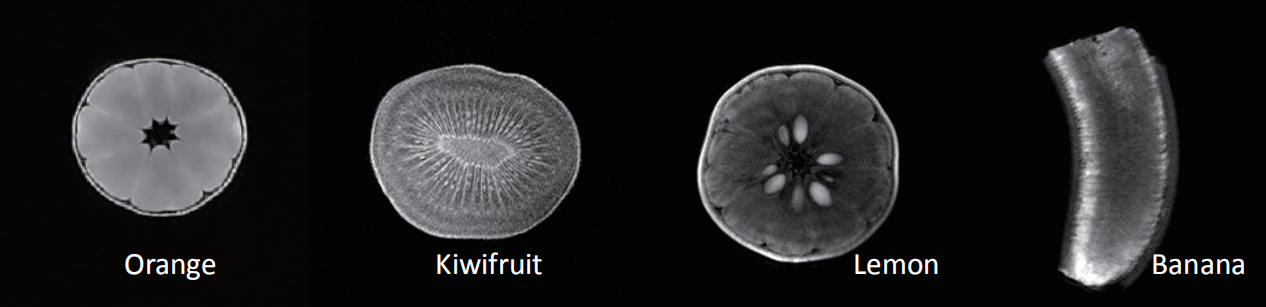 Water Distribution in Food