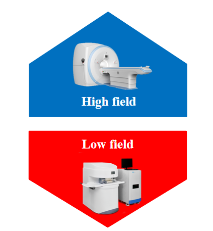 Low Field NMR