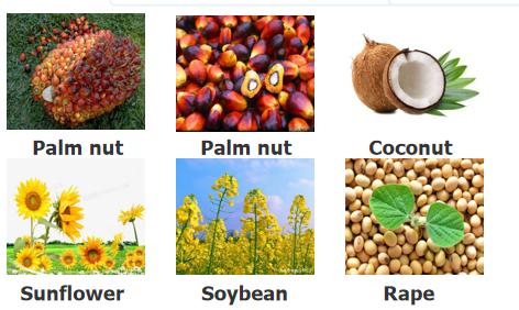Low field NMR for  oil seed analysis - Applications - 2