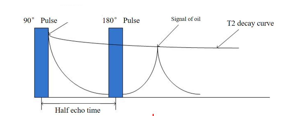Low field NMR for  oil seed analysis - Applications - 3
