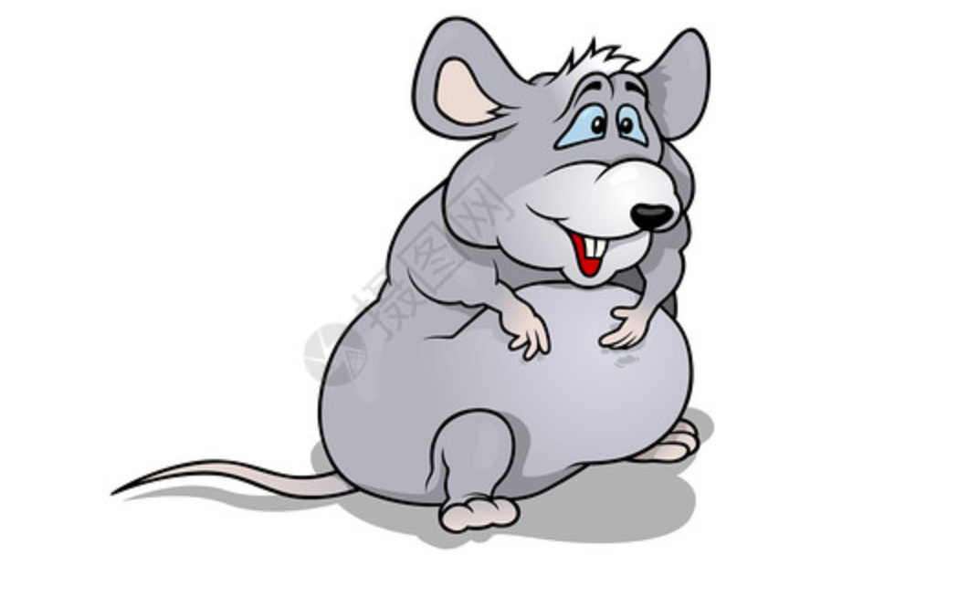 Obese Mice NMR Imaging