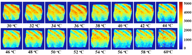 Low field nmr for food analysis - Articles - 3