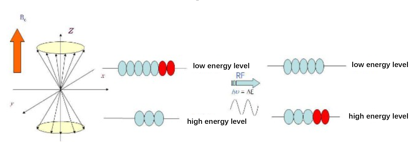 Relaxation Time of NMR