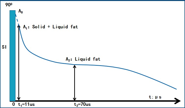 Time Domain NMR Introduction - Applications - 2