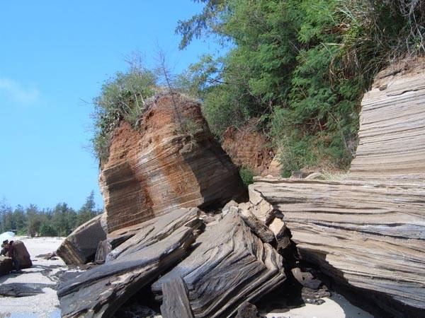 NMR Reveals the Dynamic Imbibition Process