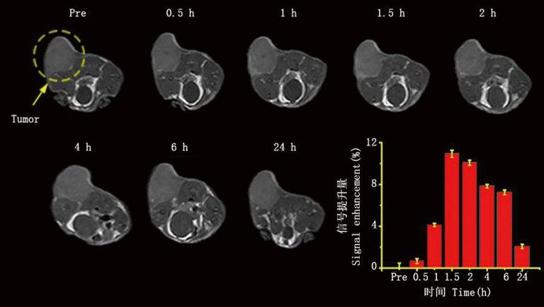 Small-Animal MRI System for Preclinical Research