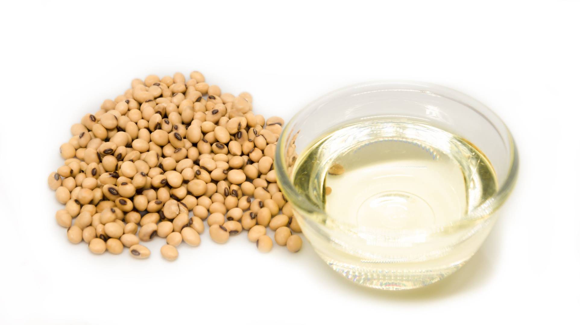 Soybean Oil Content Determination by Magnetic Resonance