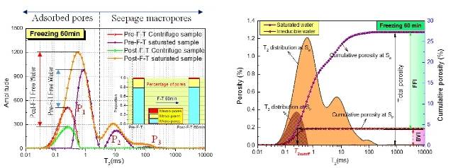 Case study of low-field NMR investigating liquid nitrogen freeze-thaw effects on different coal ranks