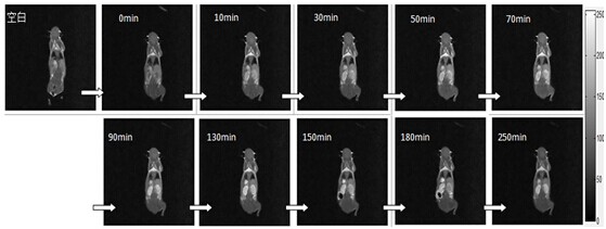 Principles and Applications of Contrast Agents in Magnetic Resonance Imaging