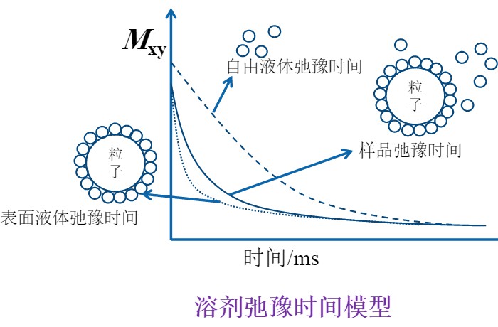 How to describe particle dispersion? Low-field NMR technology.