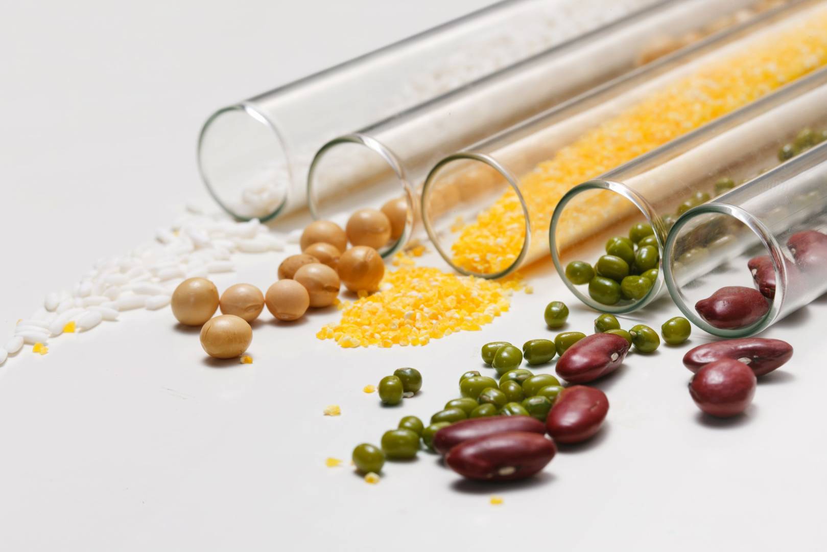 Case Studies of Nuclear Magnetic Resonance Applications in the Food Sector【三】